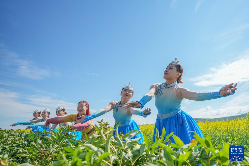 內蒙古額爾古納：油菜花海醉游人