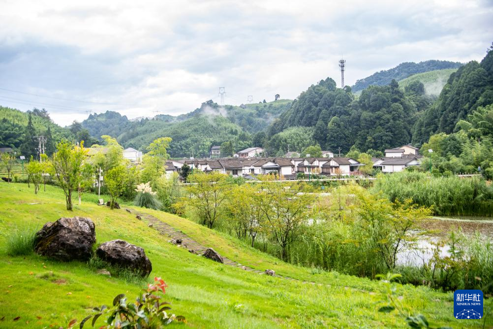 重慶梁平：生態產業化助推青山變“金山”