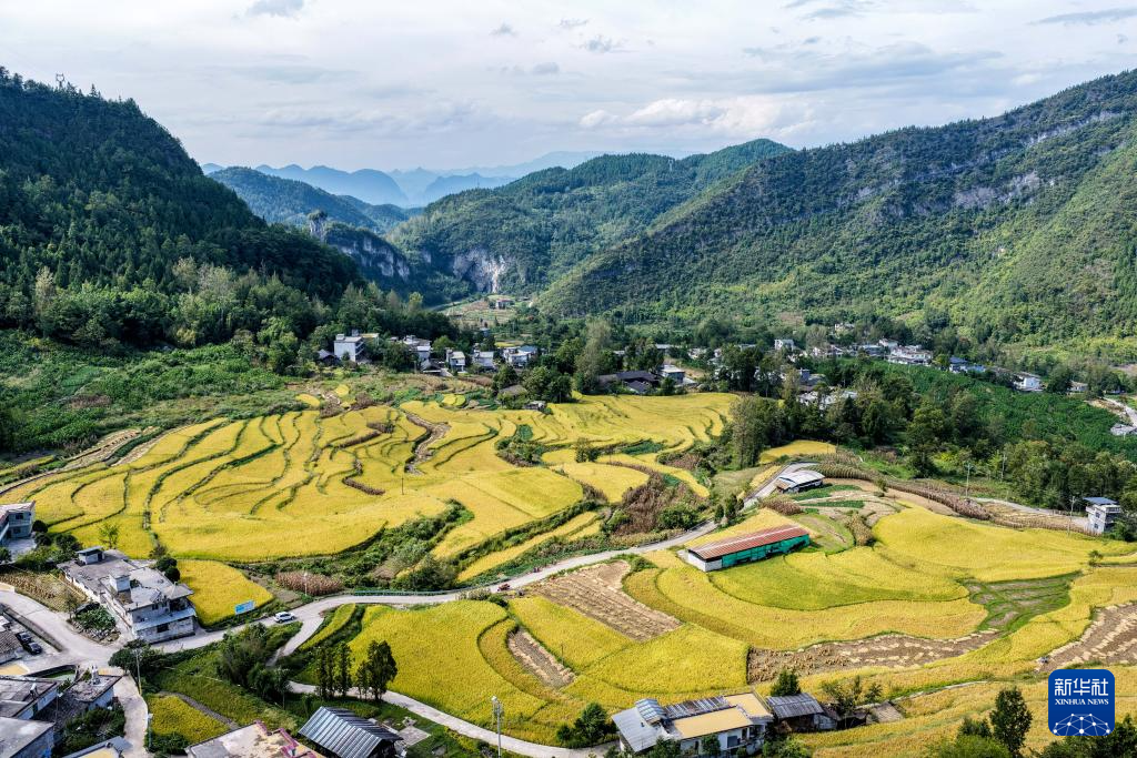 重慶黔江：武陵山鄉迎豐收